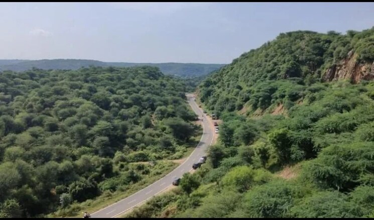 Garden, mapsko-aspr-hills  131 Sq.Yd. Plot In Sector 78 Gurgaon 9206668