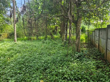  Plot – Garden View at Peringavu - for Sale
