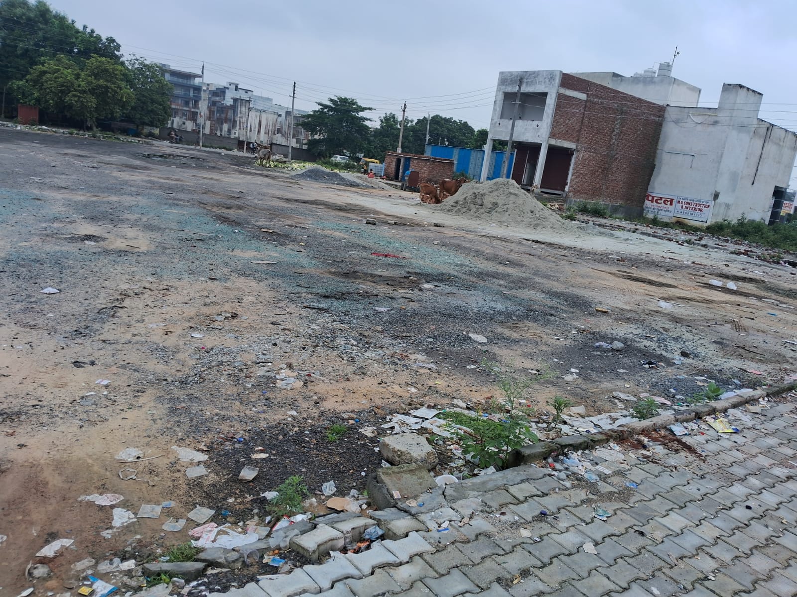 Plot For Sale in Sector 111