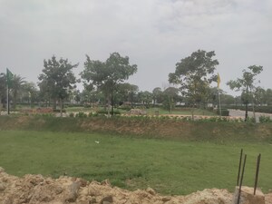 Plot Area in  Plot at Mansha Orchid, Sector 110 – for Sale