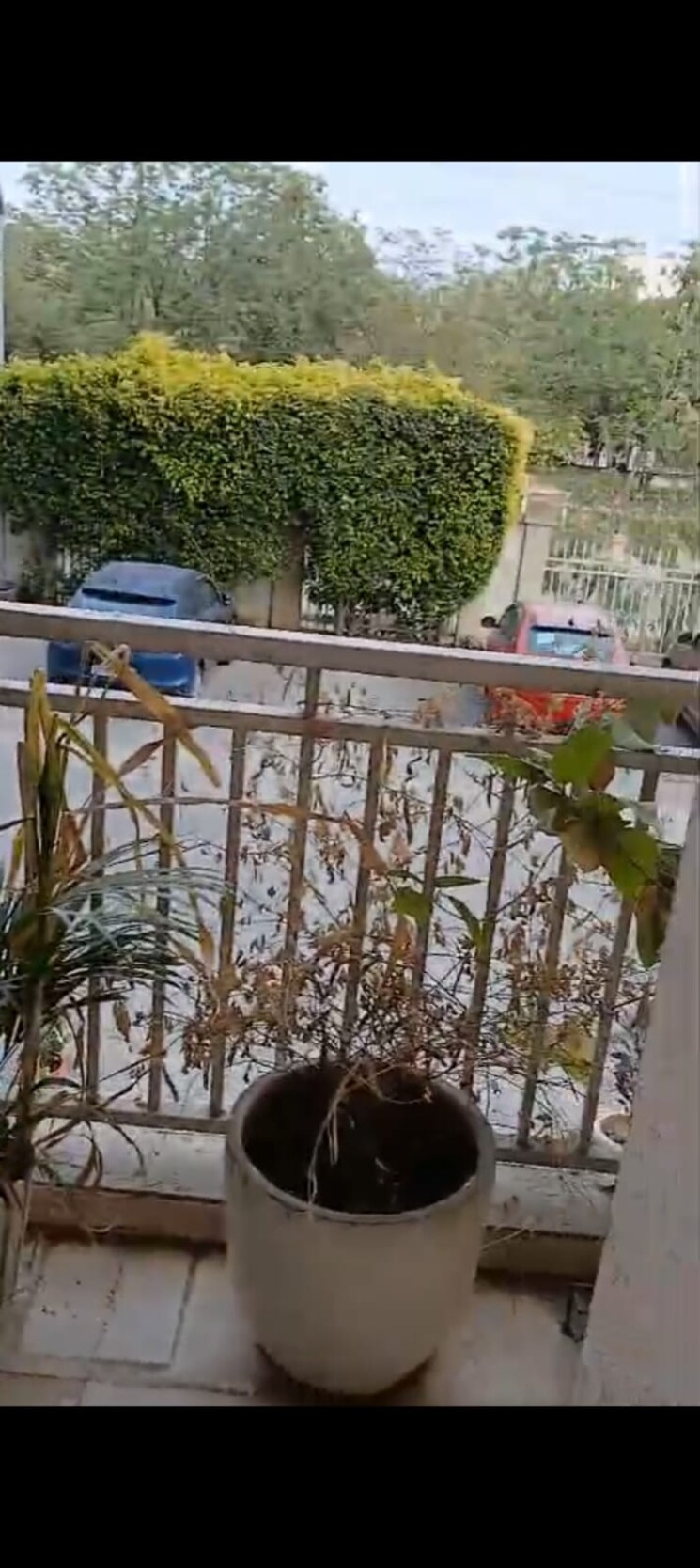 Balcony, hawelia-valencia-homes 3 Bedroom 1410 Sq.Ft. Apartment In Sector 1 Greater Noida Greater Noida 9207443