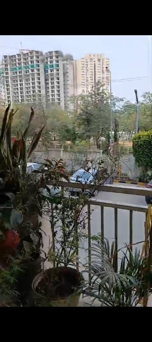 3 BHK Apartment For Rent in Hawelia Valencia Homes, Sector 1 Greater Noida