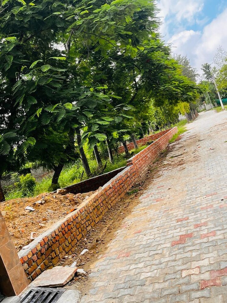 undefined, bhondsi  100 Sq.Yd. Plot In Bhondsi Gurgaon 9207614