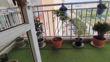 Balcony in 2.5 BHK Apartment at KLJ Greens, Sector 77 – for Sale