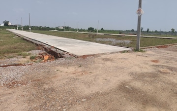 Plot For Sale in Haibatpur