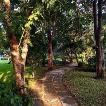  Plot – Garden View at Science City - for Sale