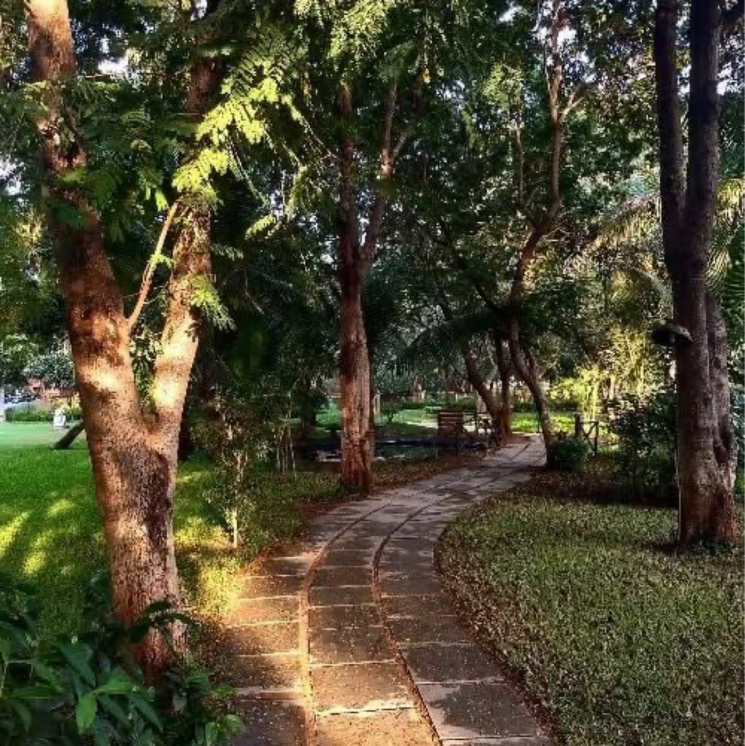 Garden, science city  1450 Sq.Yd. Plot In Science City Ahmedabad 9207833