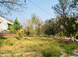 Plot Area in  Plot at Science City – for Sale