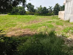 Plot For Sale in GMADA Eco City