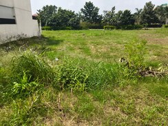 Plot For Sale in North Mullanpur
