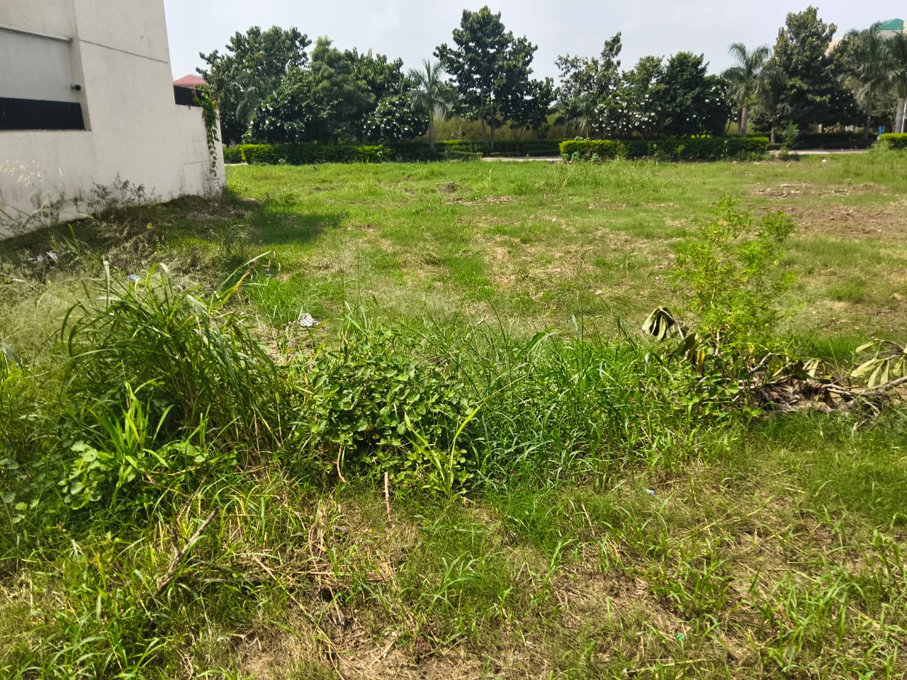 Plot For Sale in Eco City 2 New Chandigarh