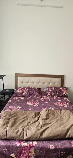 1 BHK Apartment For Rent in Bhairaav Goldcrest Residency, Ghansoli