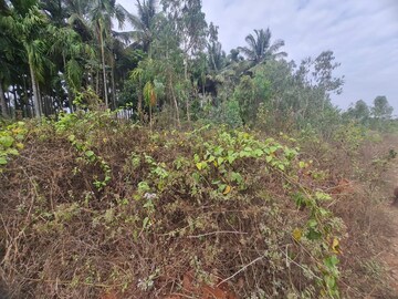  Plot For Sale in Devanahalli