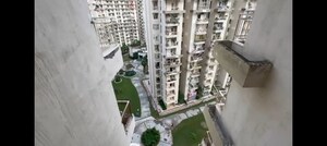 3 BHK Apartment For Rent in Supertech Ecovillage I, Sector 1 Greater Noida
