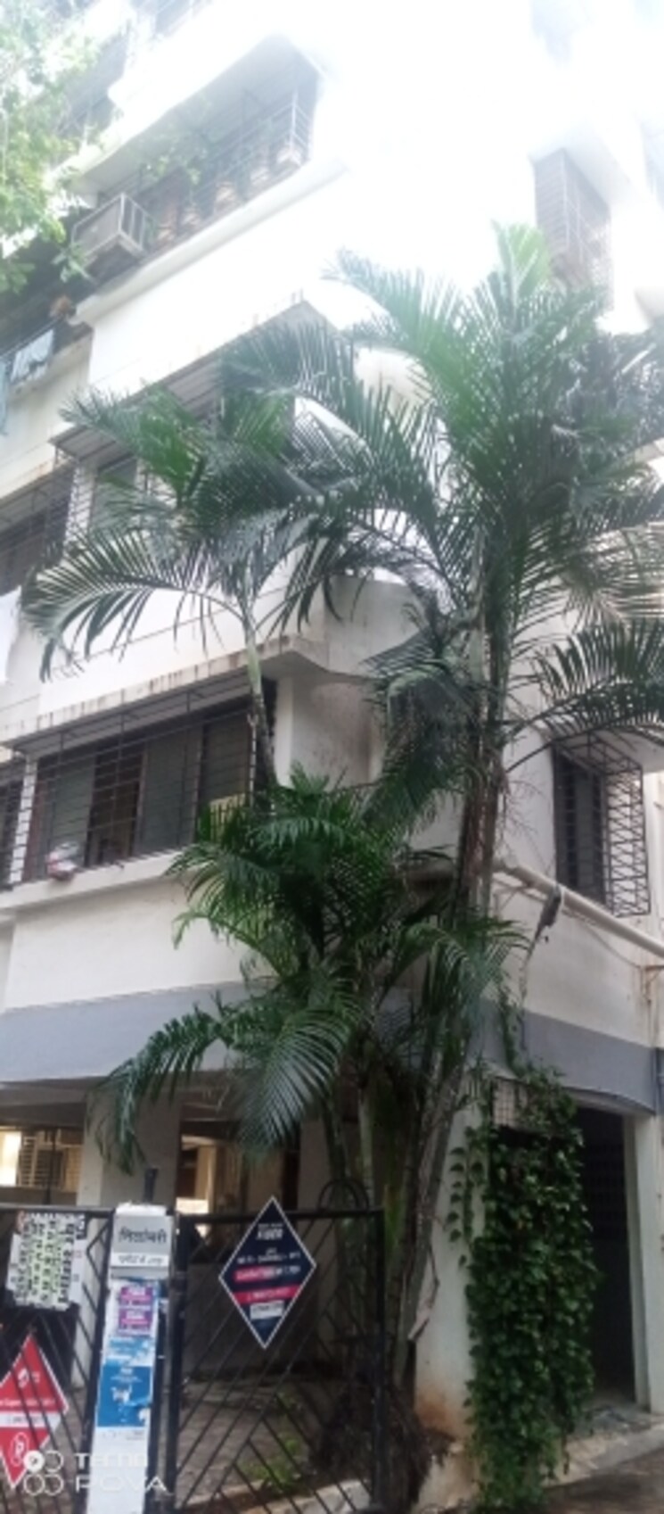 Exterior View, dadar west 1 Bedroom 510 Sq.Ft. Apartment In Dadar West Mumbai 9208046