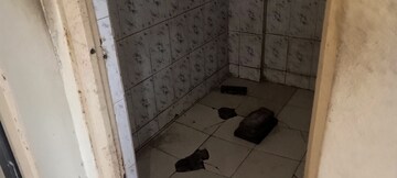 Bathroom in 1 BHK Apartment at Riddhi Siddhi Gharkul, Sinhagad Road – for Rent