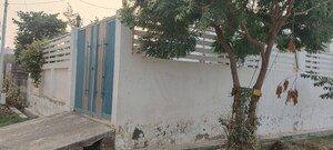 2 BHK Independent House For Rent in Prime City Greater Noida, Sector 3 Greater Noida