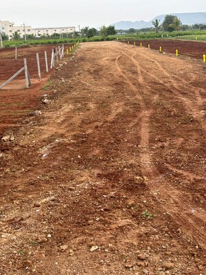 Plot Area in  Land at Vijayawada One Town – for Sale