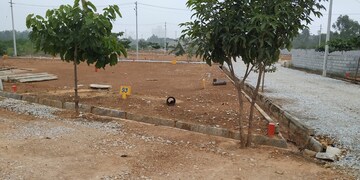 Plot Area in  Plot at Cheemasandra – for Sale