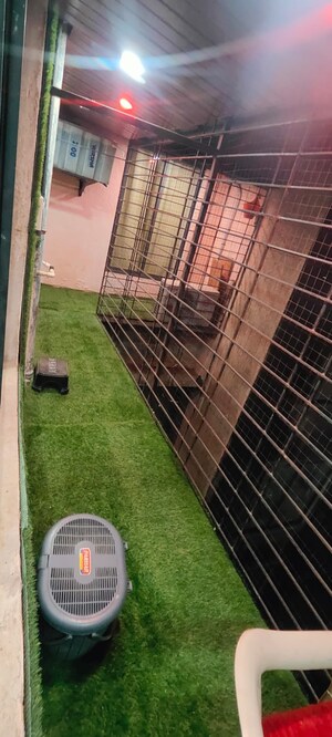 Balcony in 2 BHK Apartment at Royal Palms Garden View, Goregaon East – for Rent