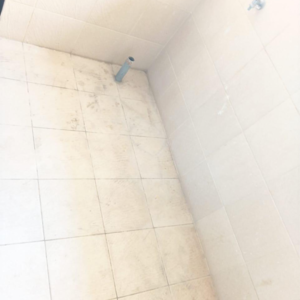 Bathroom in 3 BHK Apartment at Pride Purple Park Xpress Phase 2, Dasar – for Sale