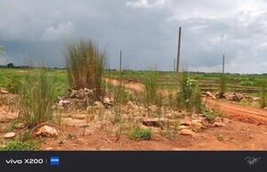 Plot Area in  Plot at Patrapada – for Sale