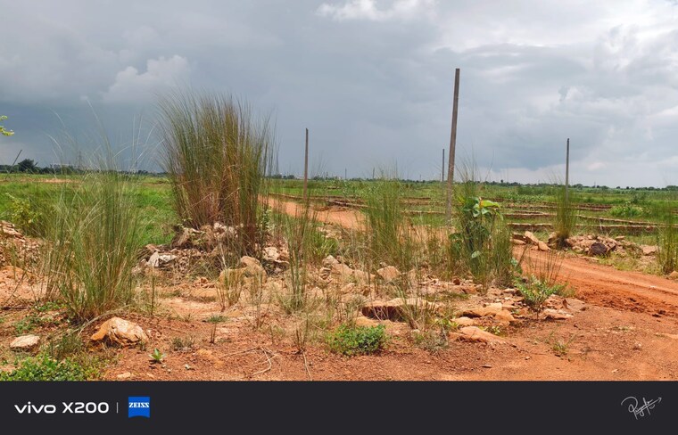 undefined, patrapada  1300 Sq.Ft. Plot In Patrapada Bhubaneswar 9208668