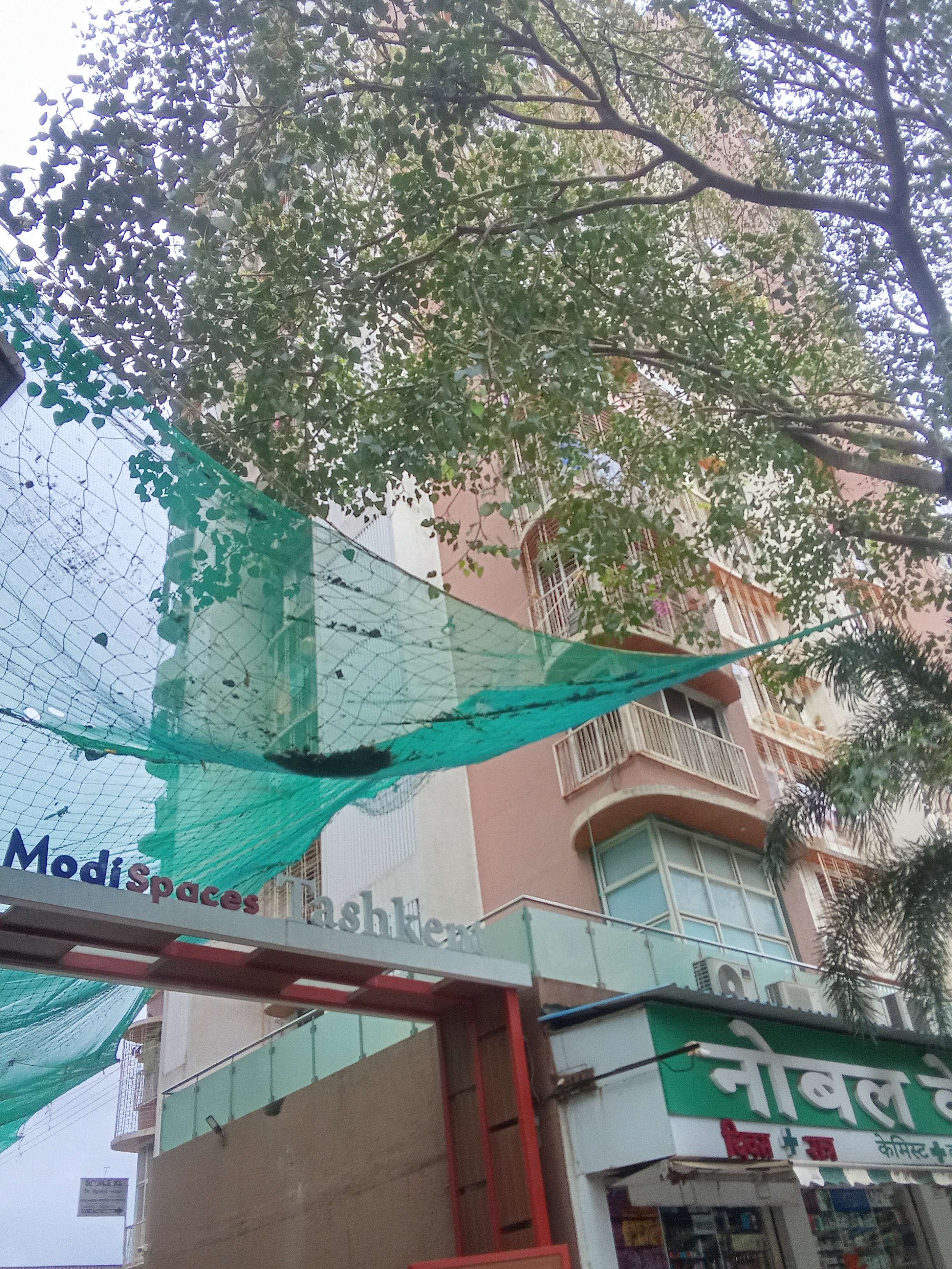 1 BHK Apartment For Rent in Modi Spaces Tashkent