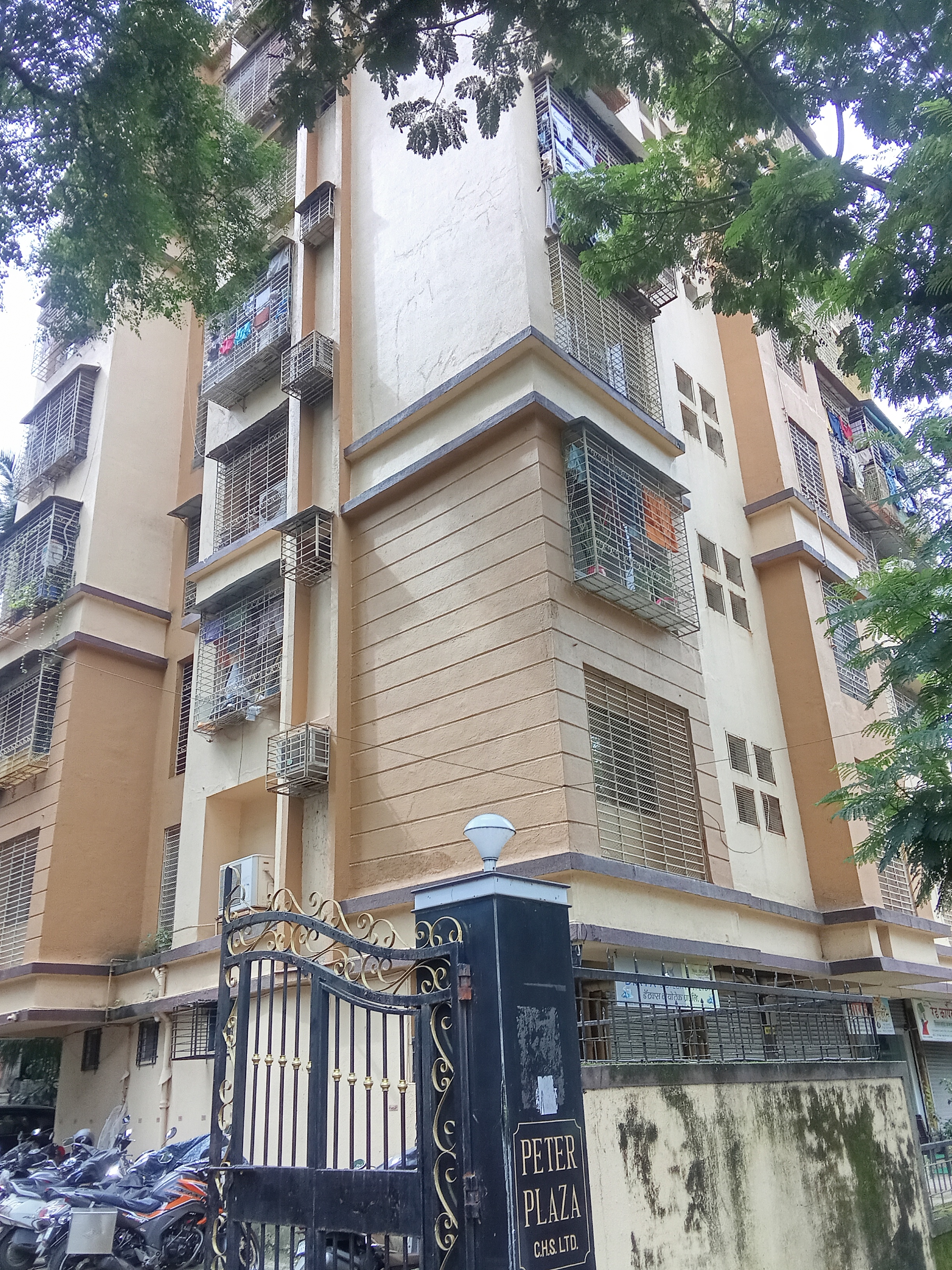 1 BHK Apartment For Rent in Peter Plaza