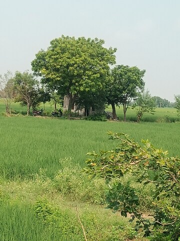 Plot Area in  Land at RSH Green City, Palwal – for Sale