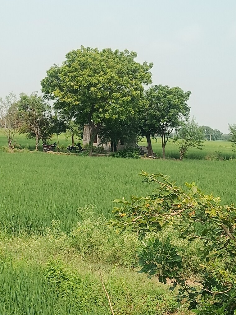 undefined, rsh-green-city Commercial Land 3 Acre In Palwal Faridabad 9208783