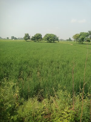 Plot Area in  Land at RSH Green City, Palwal – for Sale