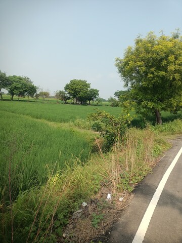  Land For Sale in RSH Green City, Palwal