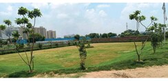 Plot For Sale in JMS The Pearl