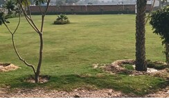 Plot For Sale in JMS The Pearl