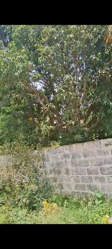 Plot Area in  Plot at Akshay Gardens, Akshayanagar – for Sale