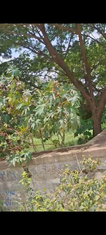  Plot – Garden View at Akshay Gardens, Akshayanagar - for Sale