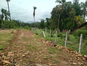  Plot For Sale in Majali