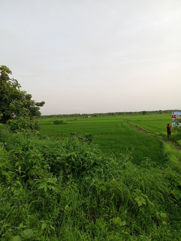 Garden, uran  5447 Sq.Ft. Plot In Uran Navi Mumbai 9209751