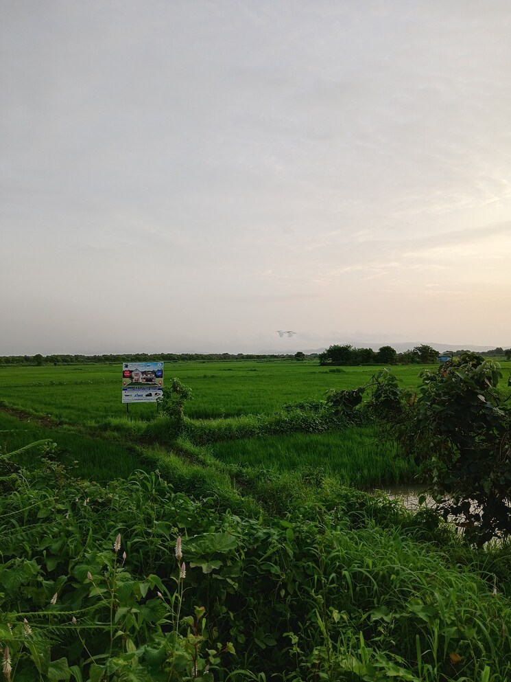 Garden, uran  5447 Sq.Ft. Plot In Uran Navi Mumbai 9209751