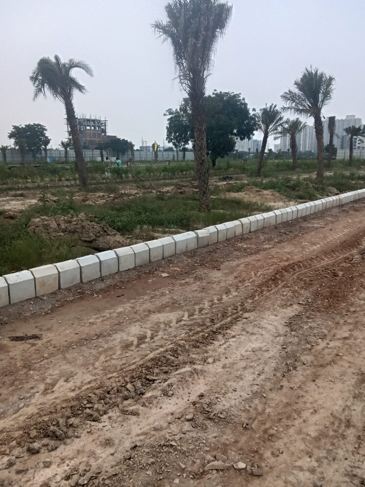 undefined, knowledge park v greater noida  160 Sq.Yd. Plot In Knowledge Park V Greater Noida Greater Noida 9209986