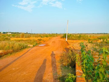 Plot Area in  Plot at Patrapada – for Sale