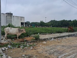  Plot For Sale in Sector 112