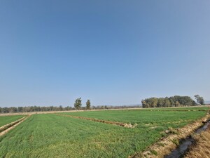 Plot Area in  Land at Ramnagar – for Sale