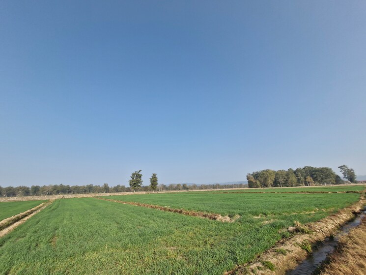 undefined, ramnagar Commercial Land 1 Acre In Ramnagar Nainital 9211055