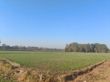 Plot Area in  Land at Ramnagar – for Sale