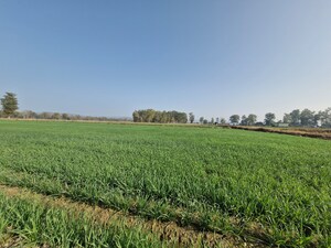 Plot Area in  Land at Ramnagar – for Sale