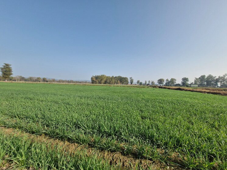 undefined, ramnagar Commercial Land 1 Acre In Ramnagar Nainital 9211055