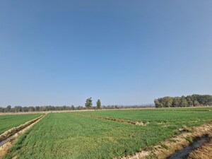 Plot Area in  Land at Ramnagar – for Sale