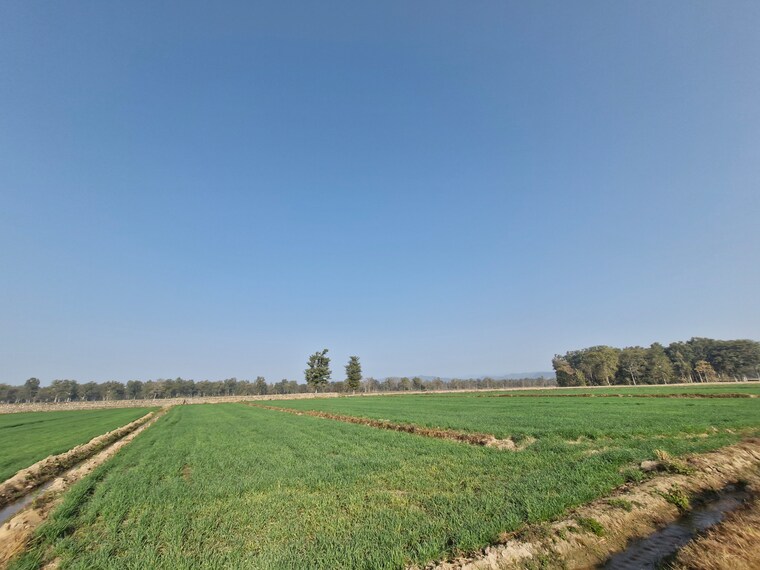 undefined, ramnagar Commercial Land 1 Acre In Ramnagar Nainital 9211055